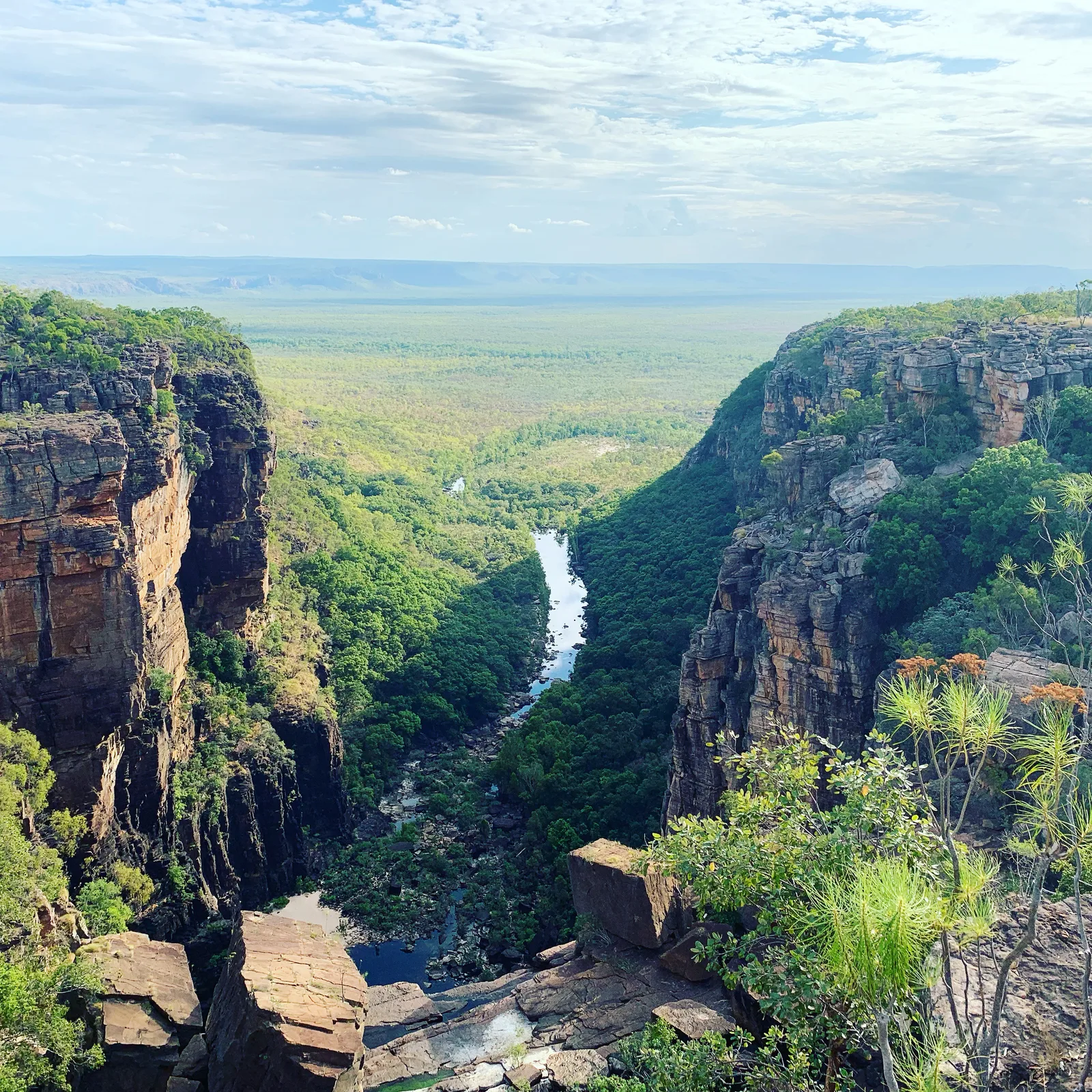 A deep gorge with a river far below