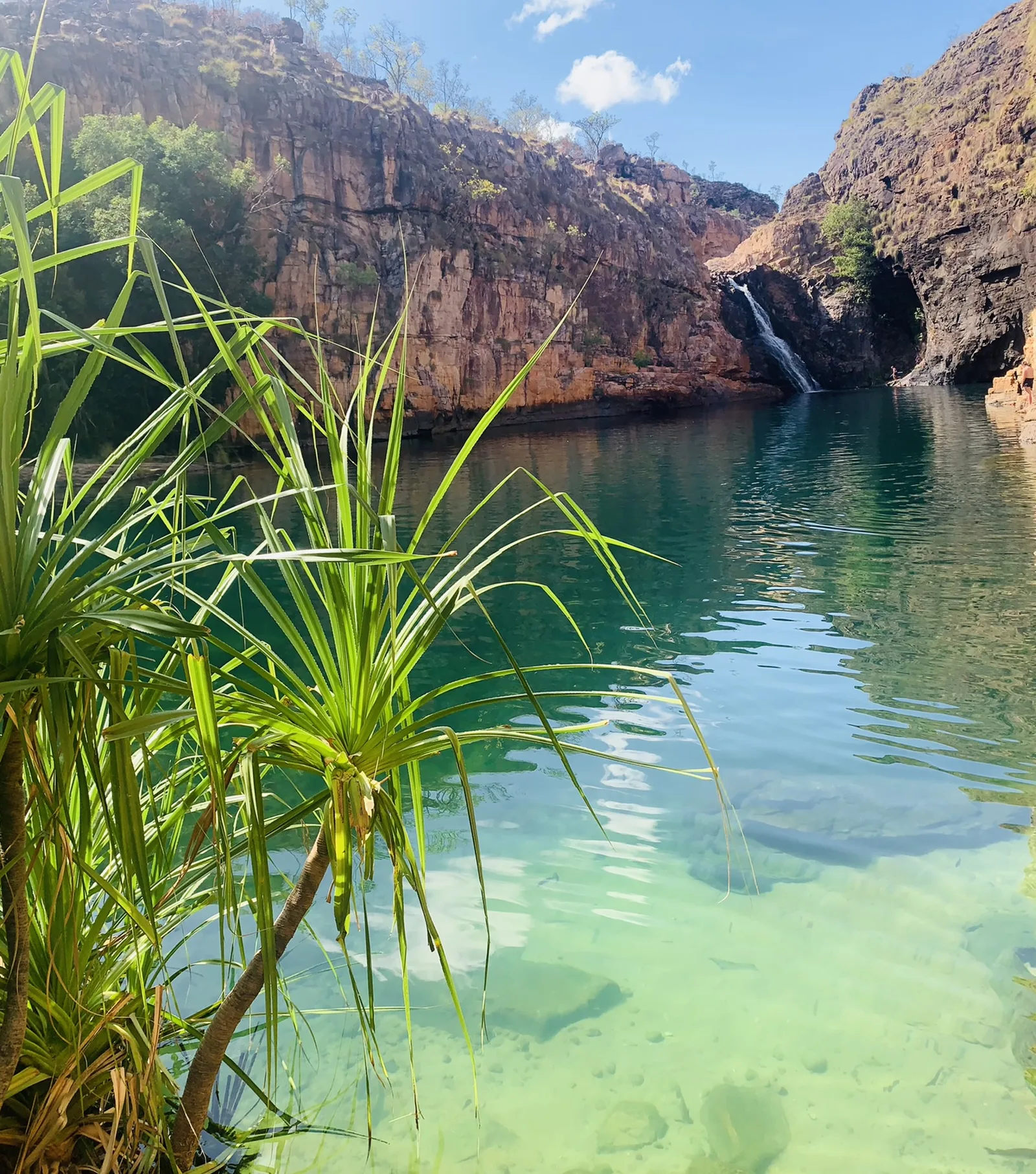 A hidden emerald waterhole