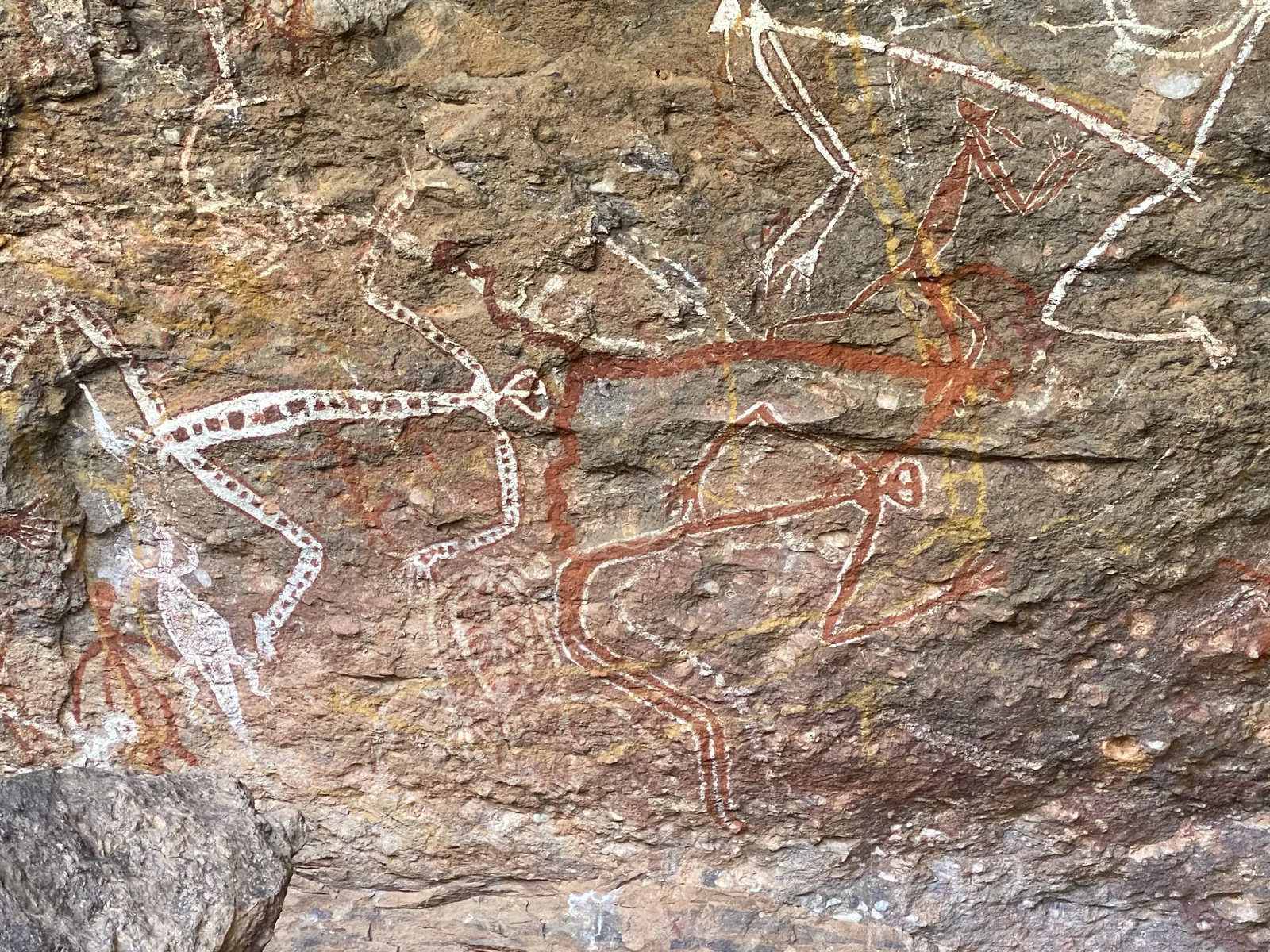 Ancient rock art up close